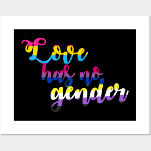 Love Has No Gender Pride Flag Pan Bi Non-binary Posters and Art